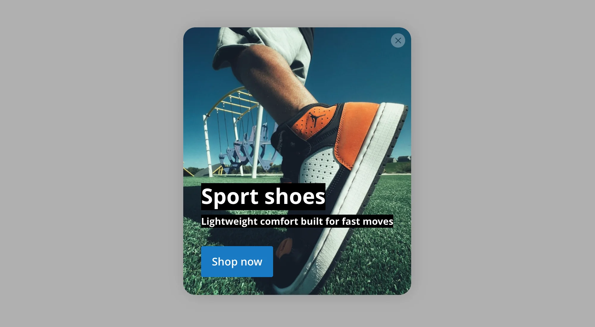 Banner inside Modal Dialog screenshot