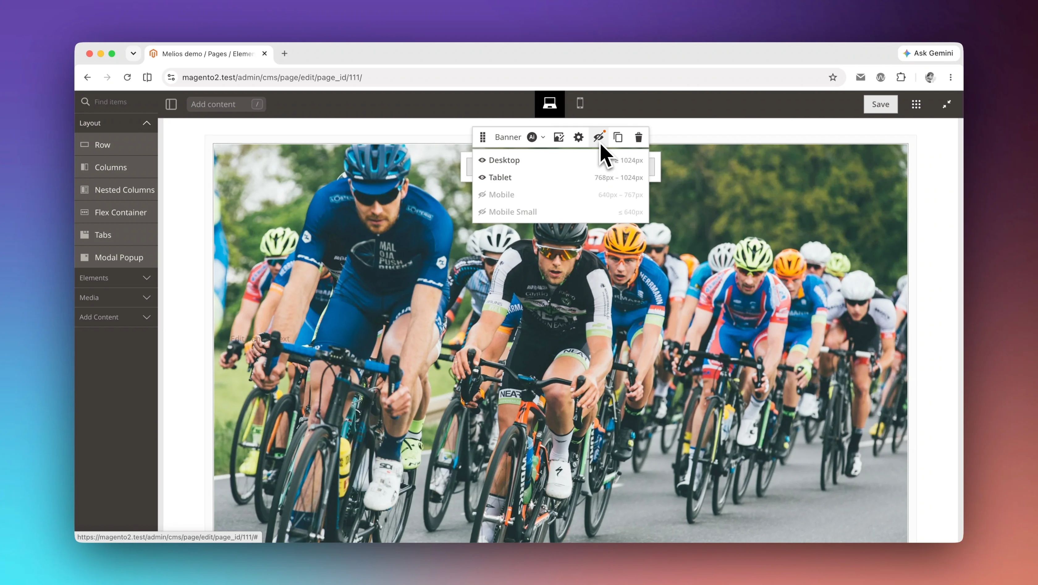 Screenshot of the show/hide per media query menu